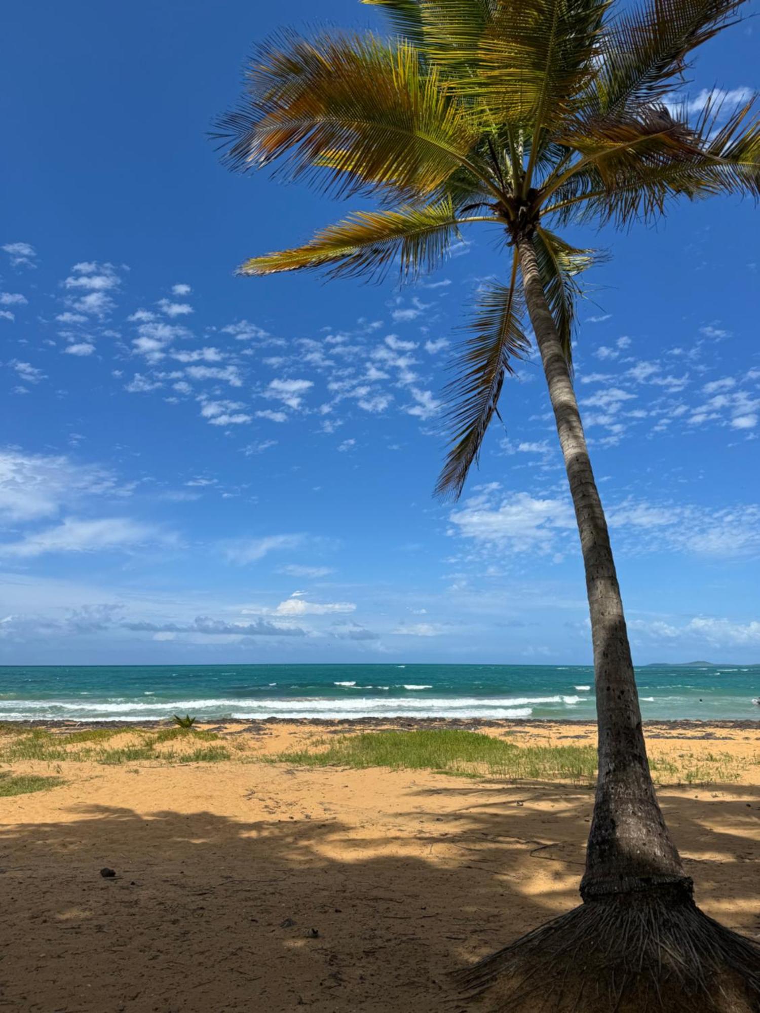 Ocean Blue Beach Apt Luquillo Exterior foto
